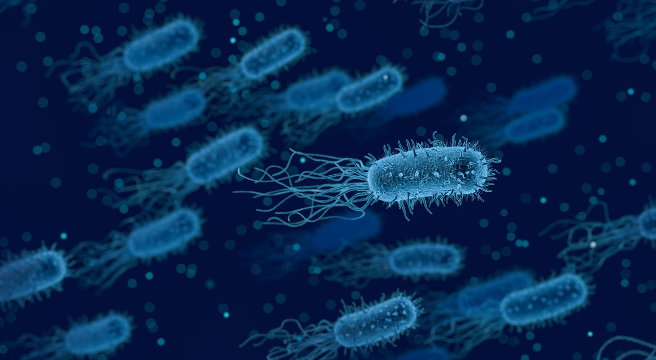 QUORUM SENSING