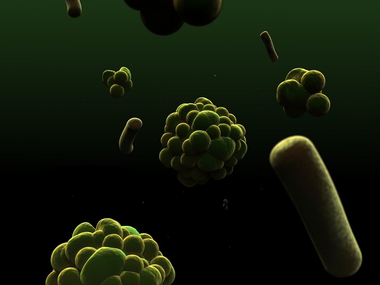 FACTORS AFFECTING BIOLOGICALRISK OF MICROORGANISMS