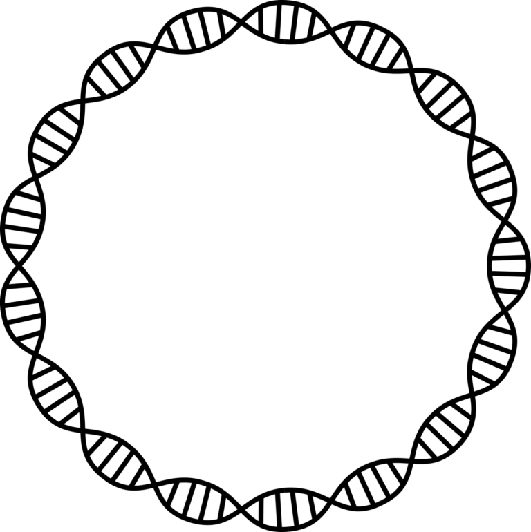 dna, deoxyribonucleic acid, health-2858794.jpg