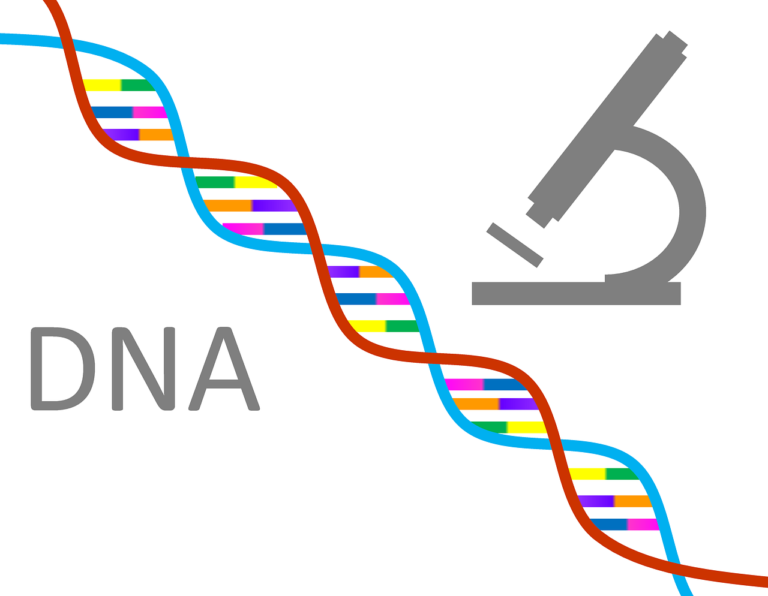 dna, genetics, science-1020670.jpg