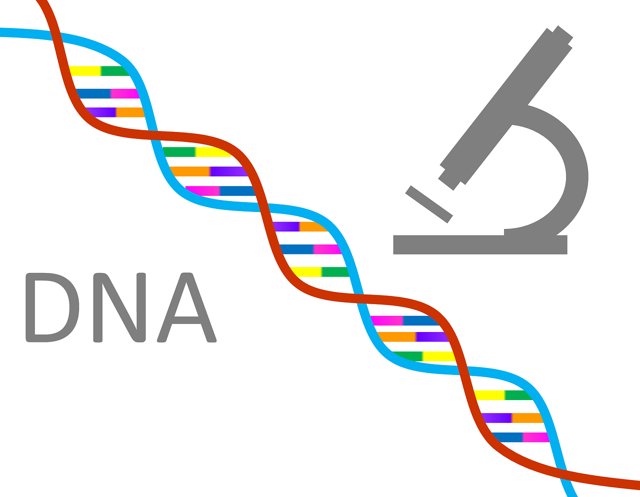 Electrophoresis of Nucleic Acids.