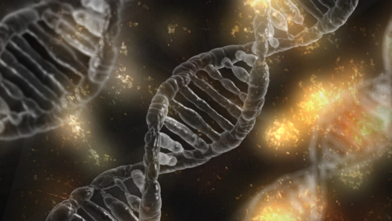 DNA/RNA QUANTIFICATION