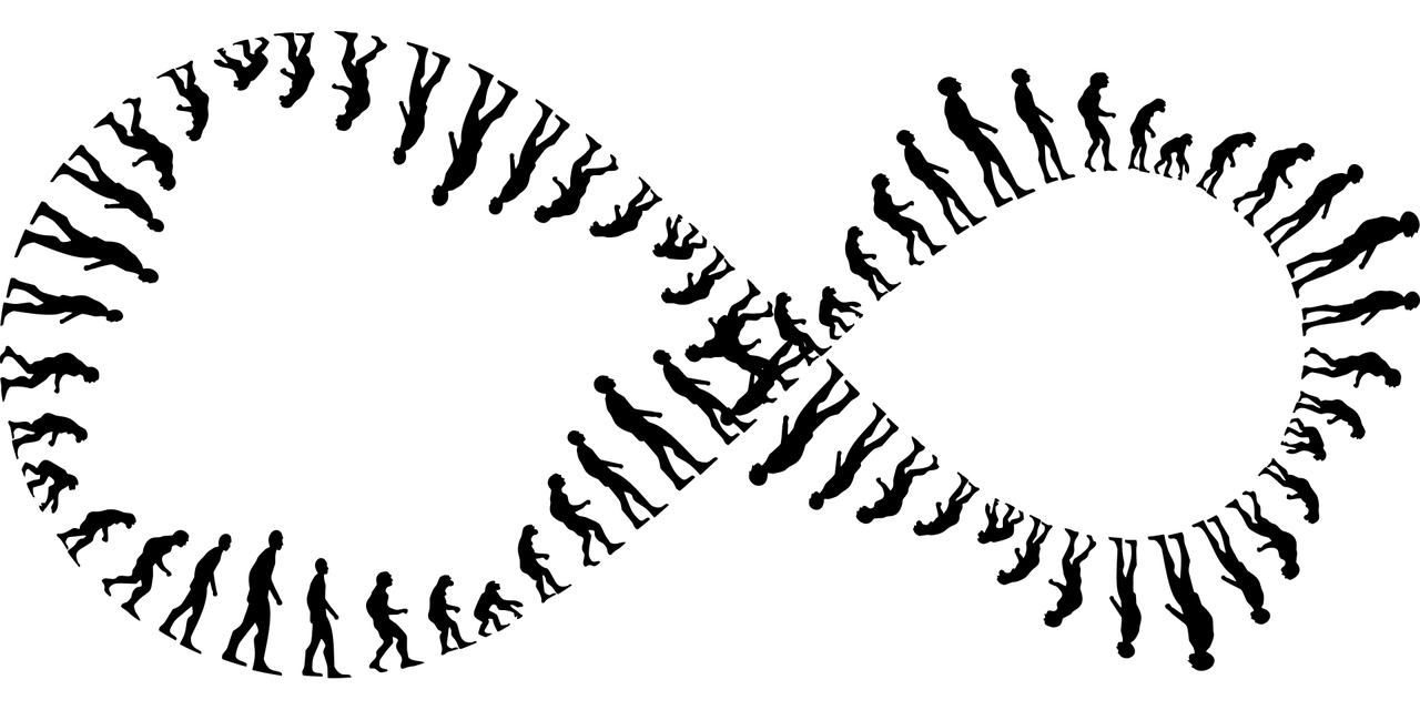 Distance based approach of phylogenetic analysis