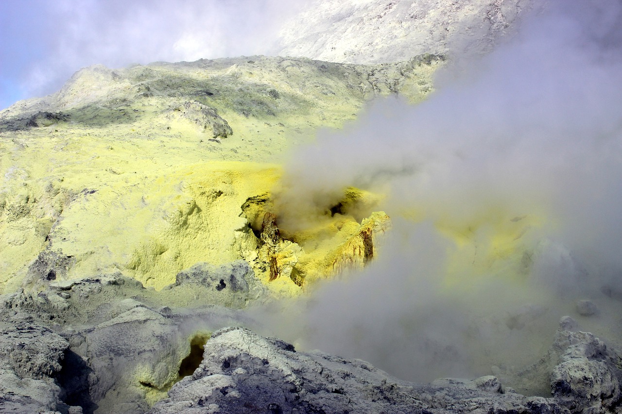 Sulfur Cycle