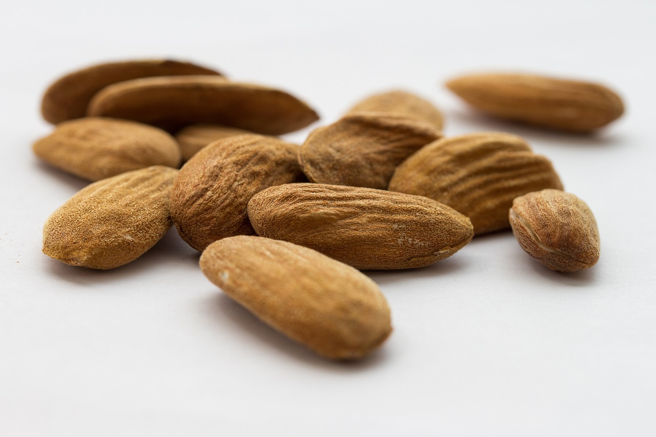 Seed Certification