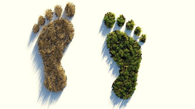 ecological footprint, climate protection, environmental destruction-4123696.jpg