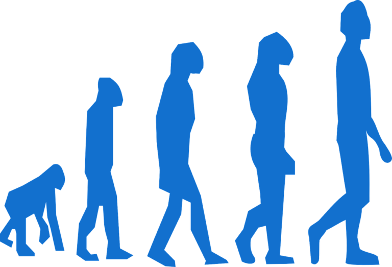 evolution, monkey, man-296400.jpg