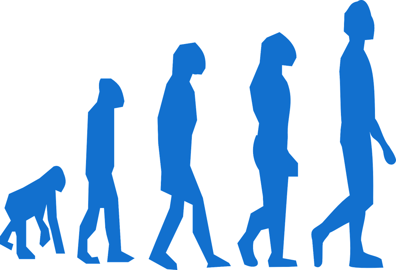 evolution, monkey, man-296400.jpg
