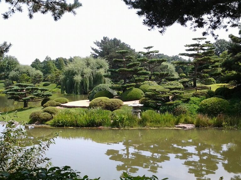 garden, japanese, greenery-543109.jpg