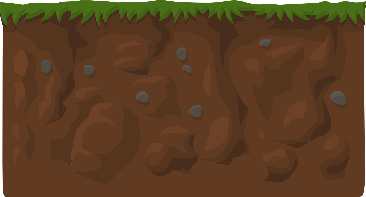 soil, layer, exposed-575641.jpg